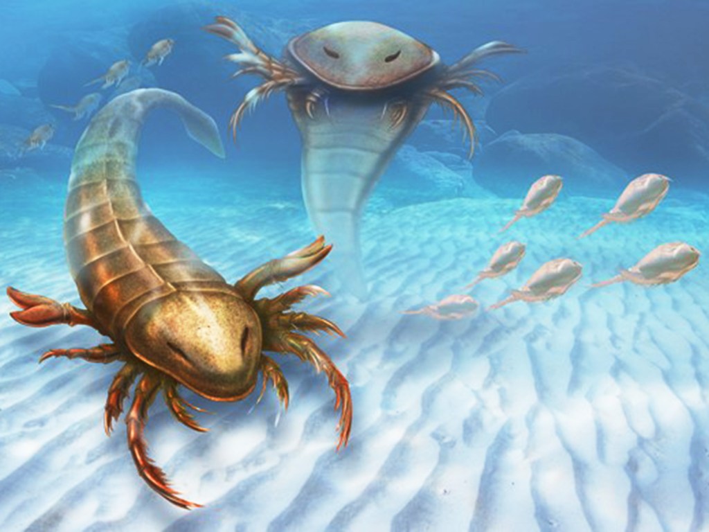 A nova espécie de escorpião gigante tinha cabeça comprida protegida por um escudo, corpo achatado, grandes membros para capturar presas e um membro traseiro em forma de remo, usado para nadar e escavar.