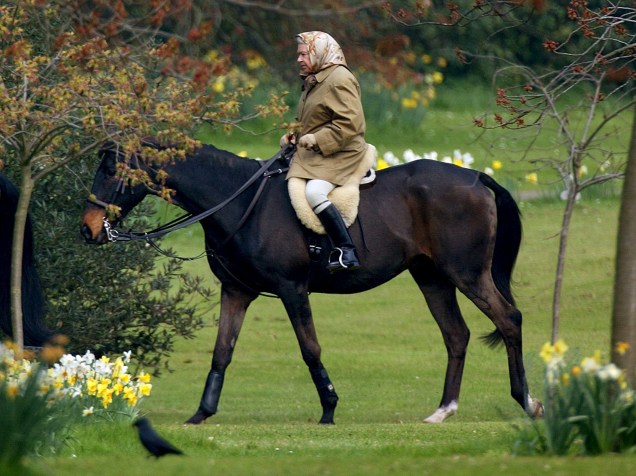 Rainha Elizabeth II monta seu cavalo no Castelo de Windsor, três dias depois da morte de sua mãe em 2002