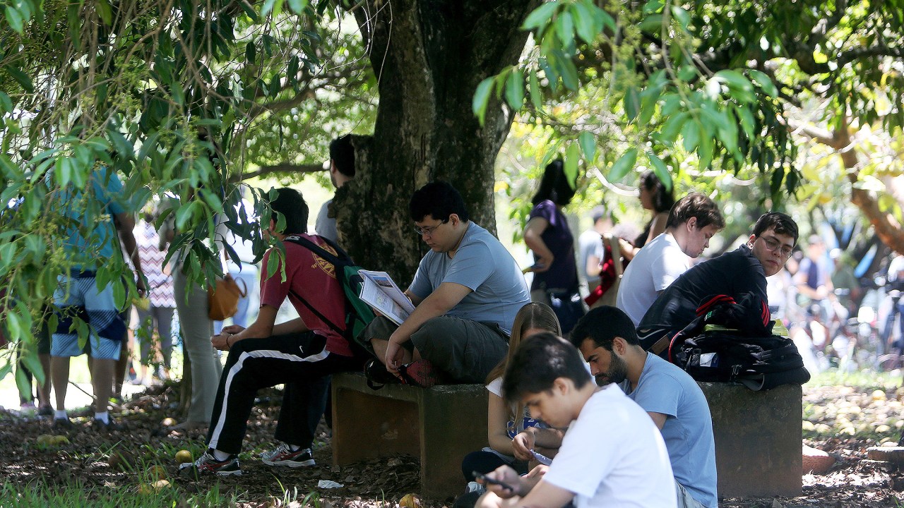 Estudantes se reúnem na Cidade Universitária, no campus Butantã da Universidade de São Paulo (USP)