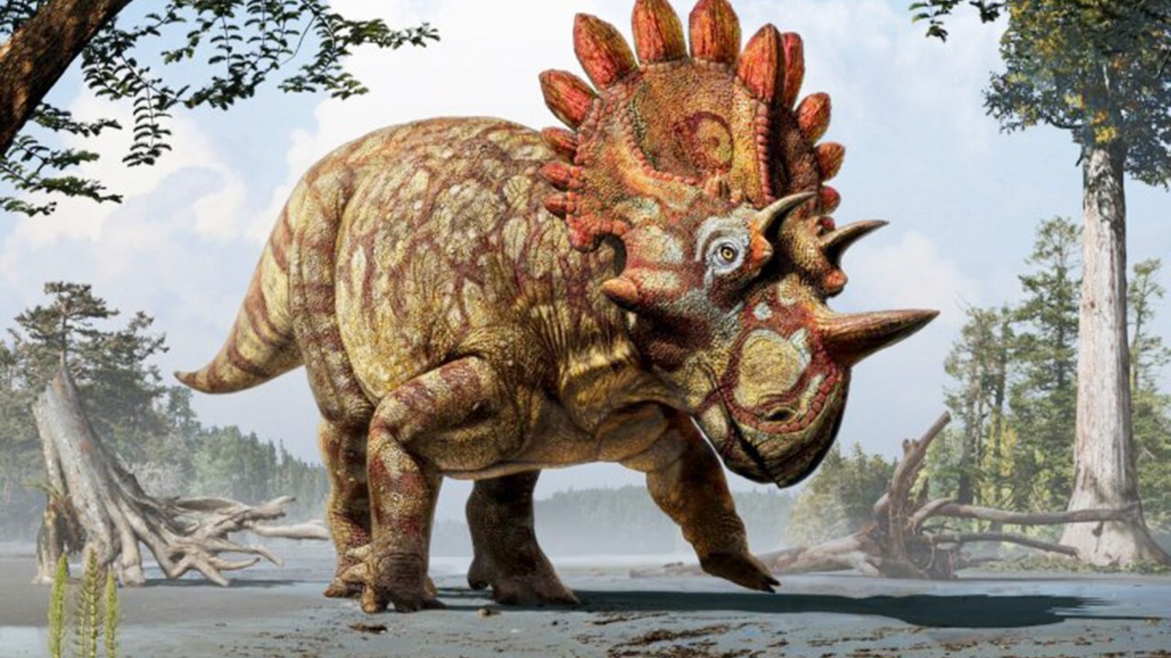Ilustração do Royal Tyrrell Museum of Palaeontology, mostra como seria o animal
