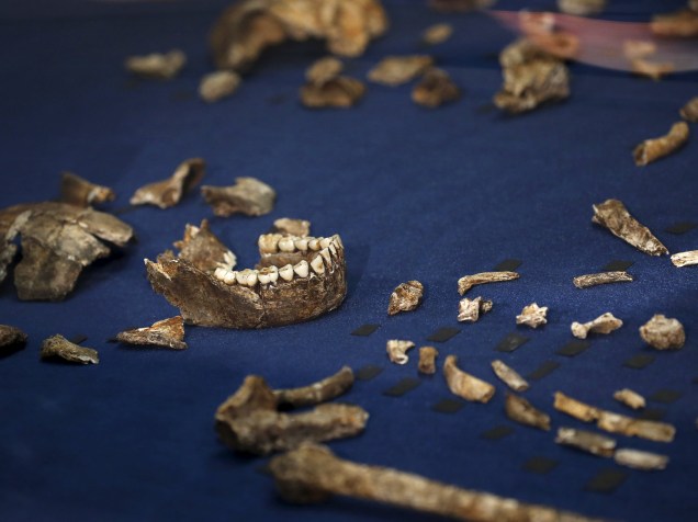 <p>Fósseis da recém descoberta espécie Homo naledi. De acordo com cientistas, a espécie parente dos seres humanos também seria capaz de enterrar seus mortos</p>