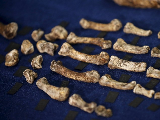 <p>Os fragmentos fósseis do Homo naledi podem modificar a visão de como se deu a evolução humana</p>
