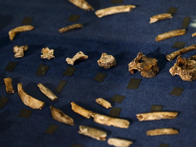 <p>Os fragmentos fósseis do Homo naledi, apresentados pelos cientistas nessa quinta-feira (10/9)</p>