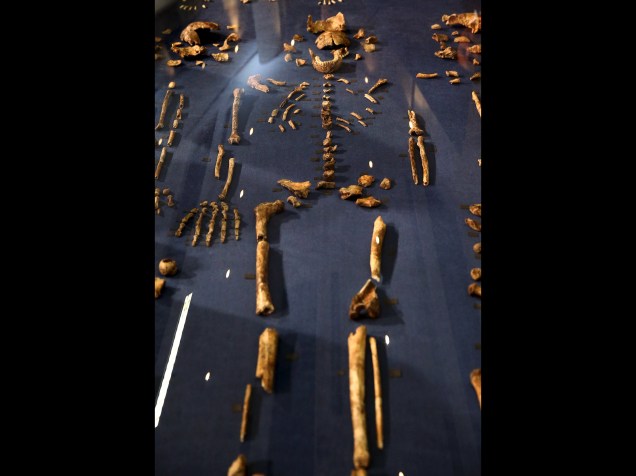 <p>Os ossos do Homo naledi ficarão acessíveis em uma sala da Universidade de Witwatersrand, em Johannesburgo, África do Sul</p>