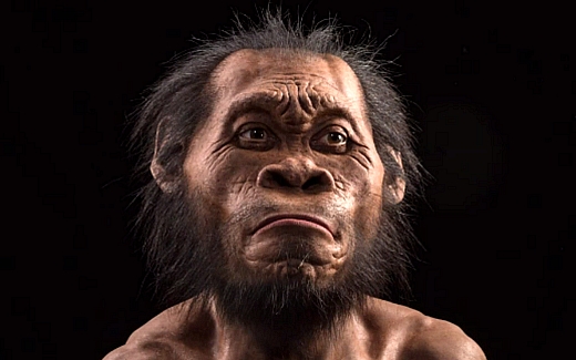 Imagem da revista 'National Geographic' mostra reconstrução artística da face do 'Homo naledi'
