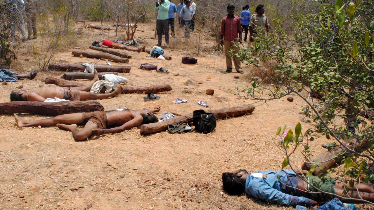 Corpos de suspeitos de tráfico de sândalo são vistos após confronto com policiais na floresta de Seshachalam, na Índia. Cerca de 20 pessoas morreram no conflito - 07/04/2015