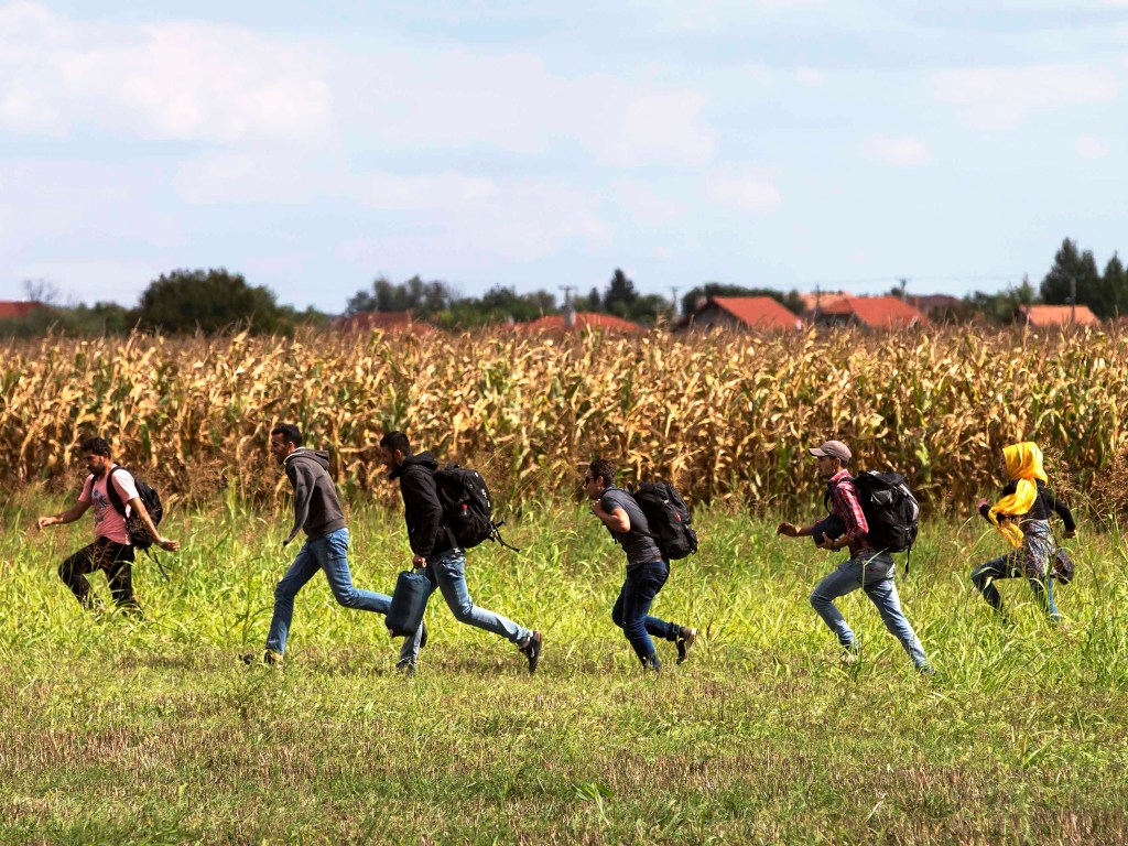 Imigrantes correm da polícia em uma vila de Röszke, Hungria - 08/09/2015