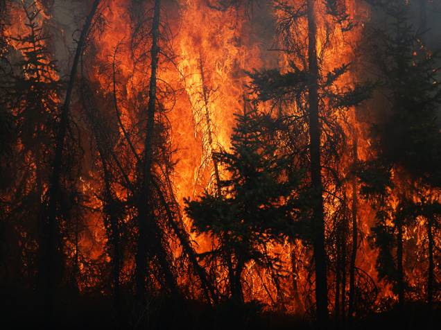 Chamas atingem árvores, durante incêndio na cidade de Fort McMurray, no Canadá. Tal incêndio evacuou mais de 80 mil pessoas do município, que estão sendo levadas à abrigos nas proximidades - 06/05/2016
