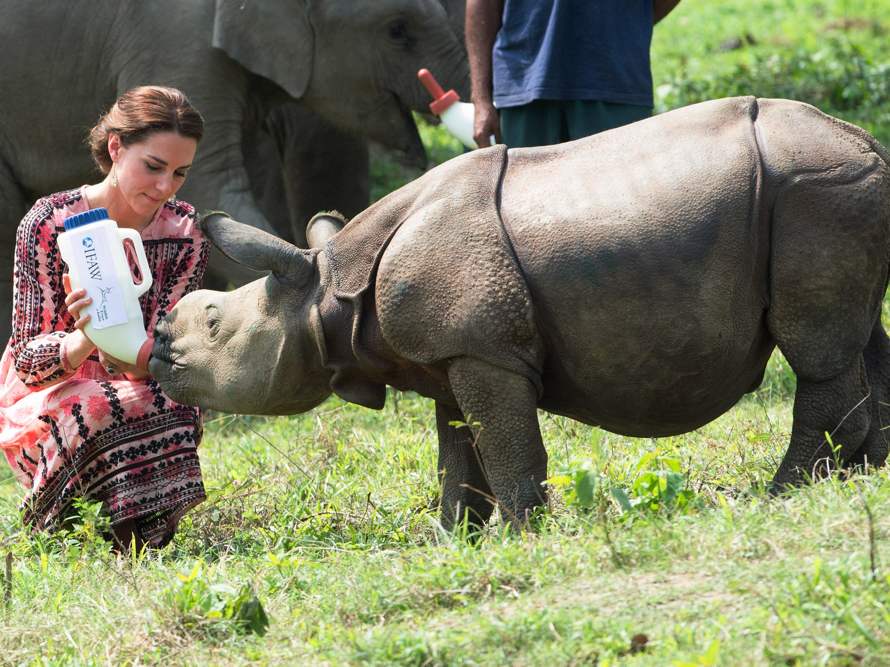 Kate Middleton alimenta um bebê rinoceronte na Índia