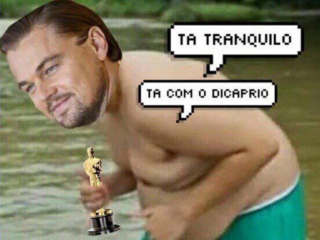 Agora que Leonardo Dicaprio, finalmente, ganhou um Oscar, por seu trabalho em O Regresso, tudo ficou tranquilo e favorável para os fãs do ator na internet