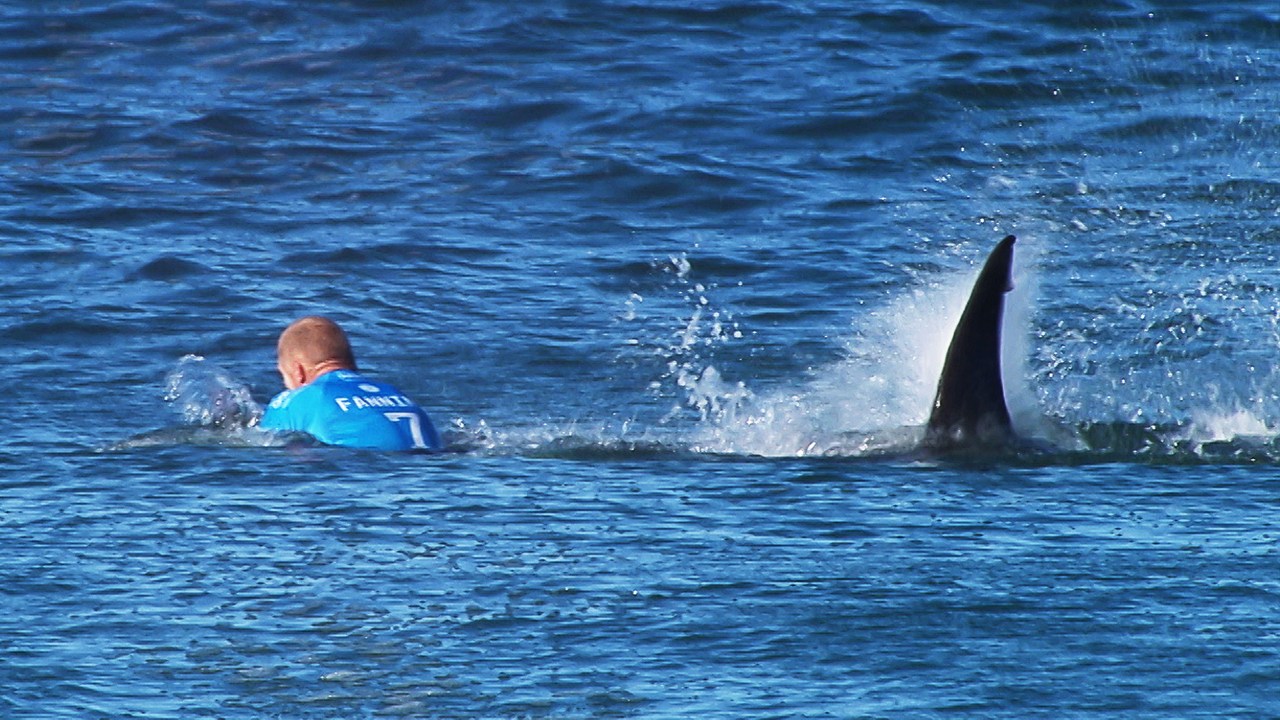 O australiano Mick Fanning, atacado por um tubarão durante etapa de Jeffreys Bay do Circuito Mundial de surfe (WCT), na África do Sul, no último domingo (19)