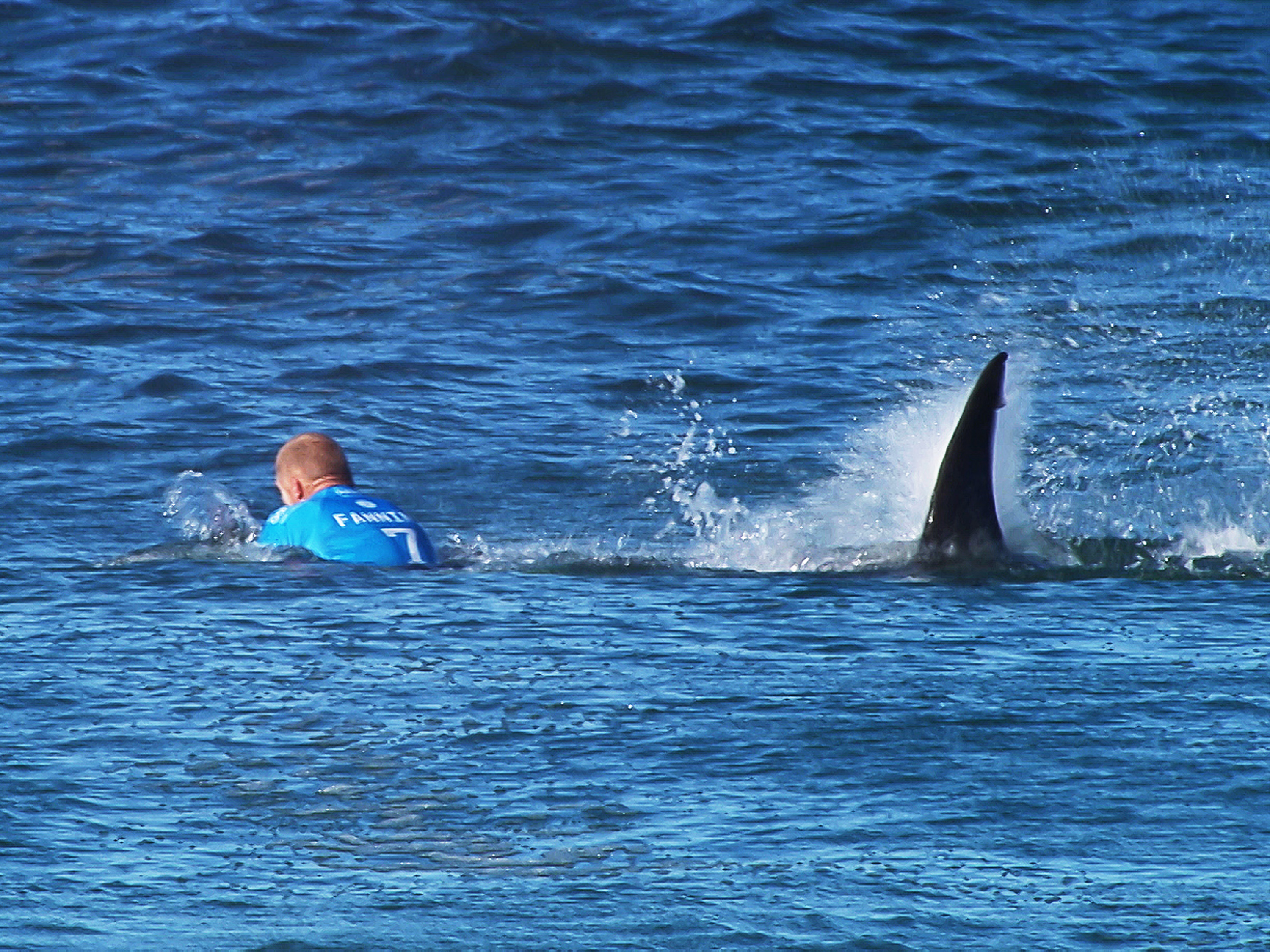 O australiano Mick Fanning foi atacado por um tubarão durante etapa de Jeffreys Bay do Circuito Mundial de surfe (WCT), na África do Sul - 19/07/2015