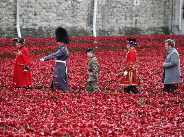 Britânicos realizam cerimônia diante da instalação de arte que homenageia os mortos na I Guerra Mundial, durante o Dia do Armistício na Torre de Londres, em Londres - 11/11/2014