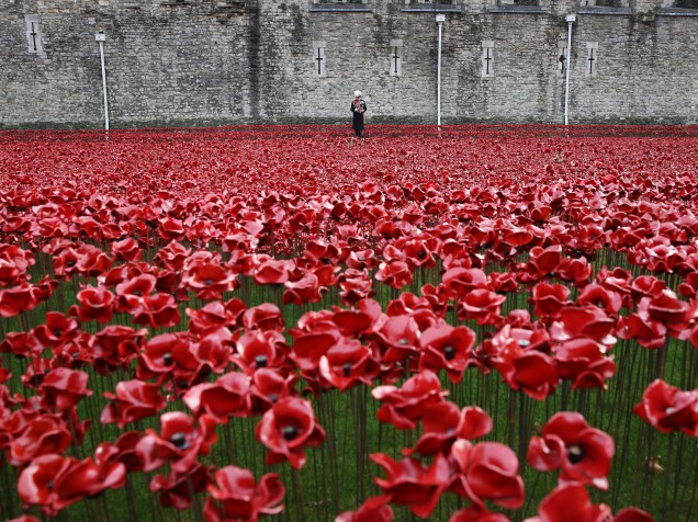 General Lord Dannatt lê os nomes dos mortos durante uma cerimônia em que a última papoula cerâmica foi colocada no fosso da Torre de Londres, representando cada um dos militares e mulheres mortos na I Guerra Mundial durante o Dia do Armistício, em Londres - 11/11/2014