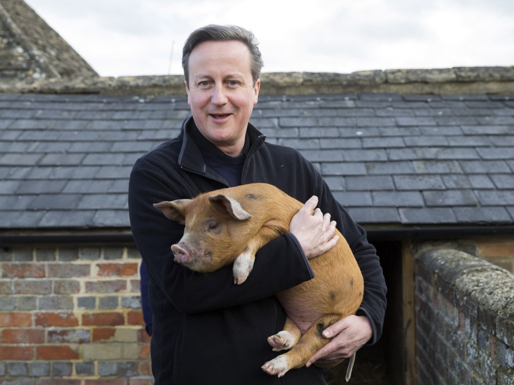 O primeiro-ministro britânico, David Cameron segura um leitão durante visita a uma fazenda, em Witney, Reino Unido - 21/03/2014