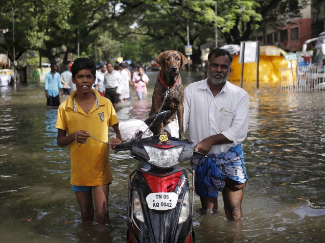 Moradores, carregam um cão sobre uma moto enquanto atravessam uma rua inundada em Chennai, Índia - 03/12/2015