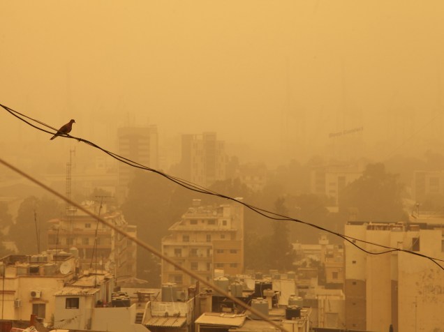 Pombo pousa sobre um fio durante uma tempestade de areia em Beirute, no Líbano - 08/09/2015