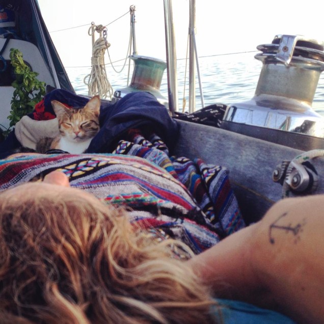 Liz Clark e sua gata, Amelia, navagam ao redor do mundo através de um barco