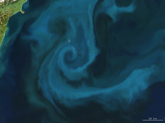 <p>Letra "E": em 25 de outubro de 2009, o satélite Acqua fez a imagem de um grupo de fictoplâncton na costa da Nova Zelândia</p>