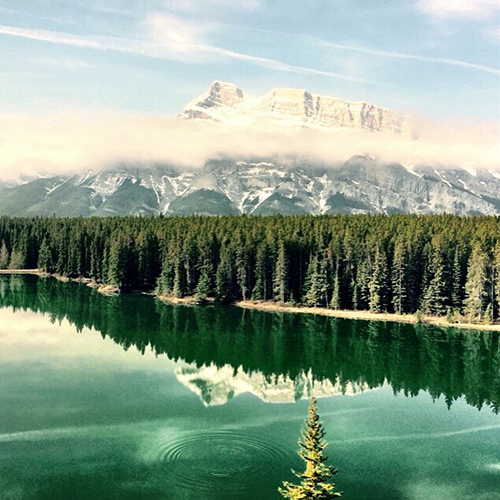 O Instagram oficial do Parque Nacional Banff, no Canadá, (@banff_lakelouise) reúne fotos maravilhosas da reserva