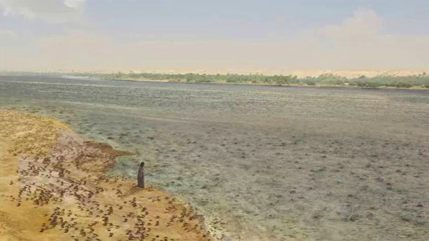<p>Rãs brotam do Nilo na segunda praga do Egito, mostrada em Os Dez Mandamentos</p>