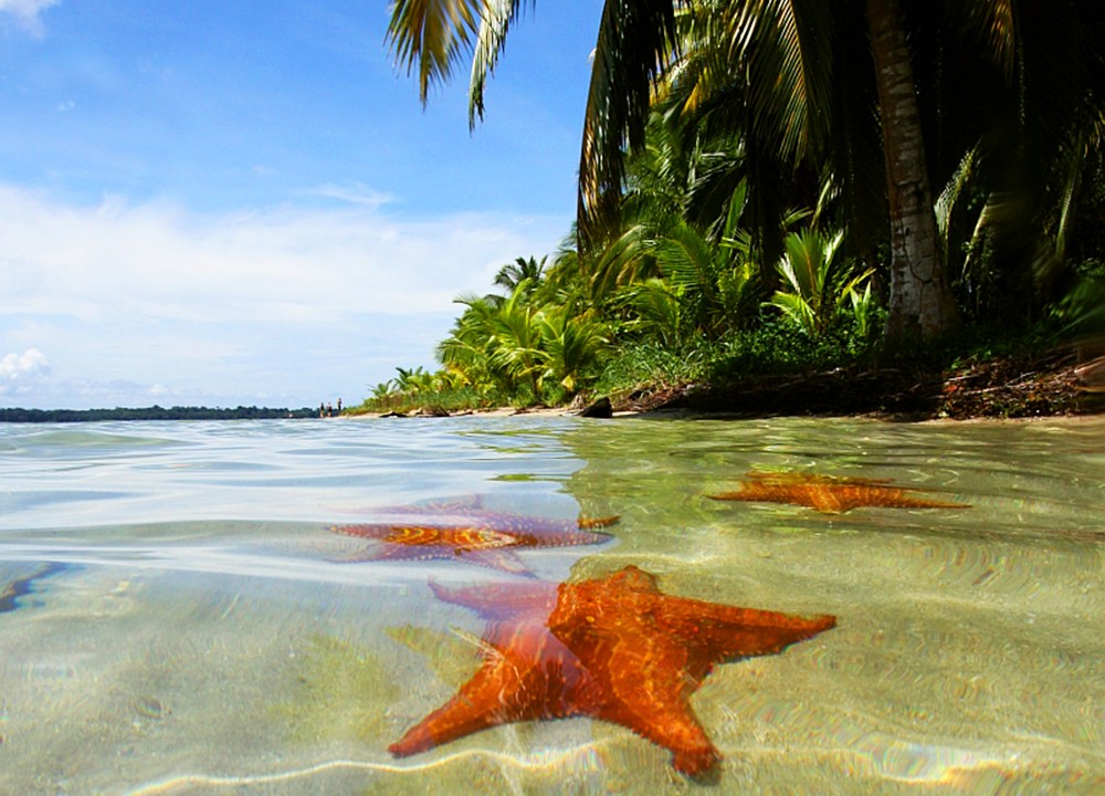 A praia das Estrelas, no Panamá