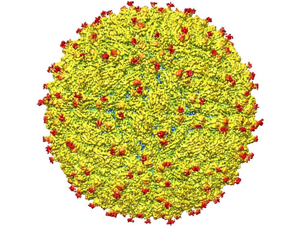 Projeção da superfície do zika vírus