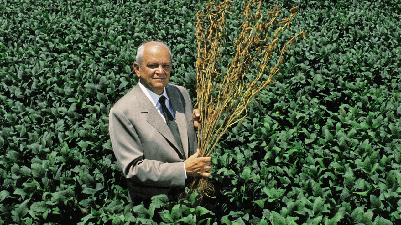 O empresário Olacyr de Moraes posa em meio a sua plantação de soja