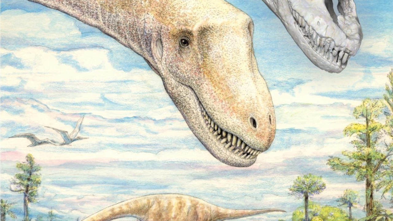 Reconstrução artística do 'Sarmientosaurus musacchioi', que viveu há cerca de 95 milhões de anos, em seu ambiente, na Patagônia, Argentina, comparado com o crânio encontrado pelos cientistas.