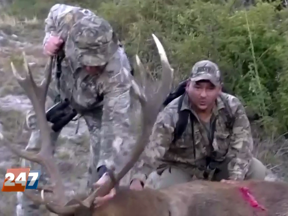 Vídeo mostra o guarda-florestal auxiliando os caçadores a capturar e matar um cervo