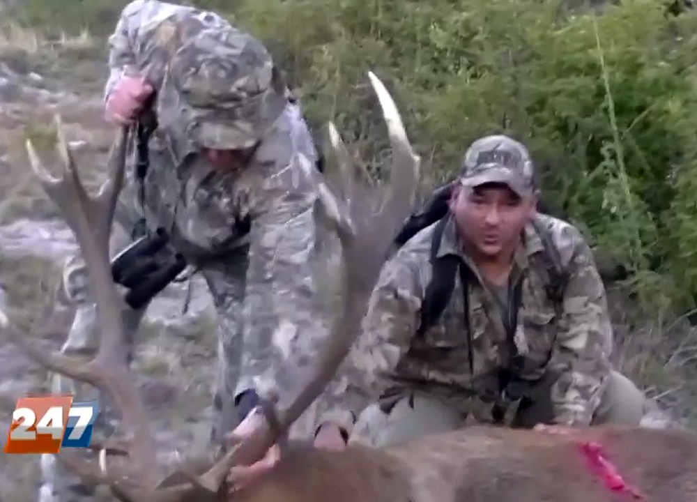 Vídeo mostra o guarda-florestal auxiliando os caçadores a capturar e matar um cervo