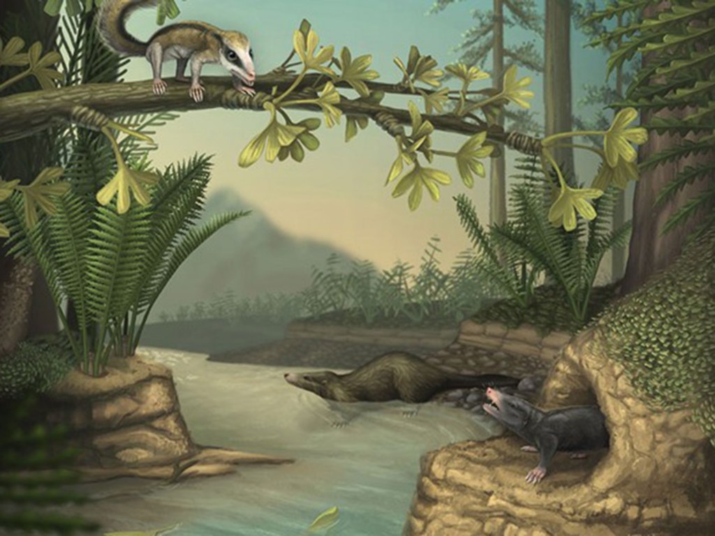 Reconstituição do estilo de vida e habitat do ‘Agilodocodon’ (no topo à esquerda) e do ‘Docofossor’ (abaixo, à direita)