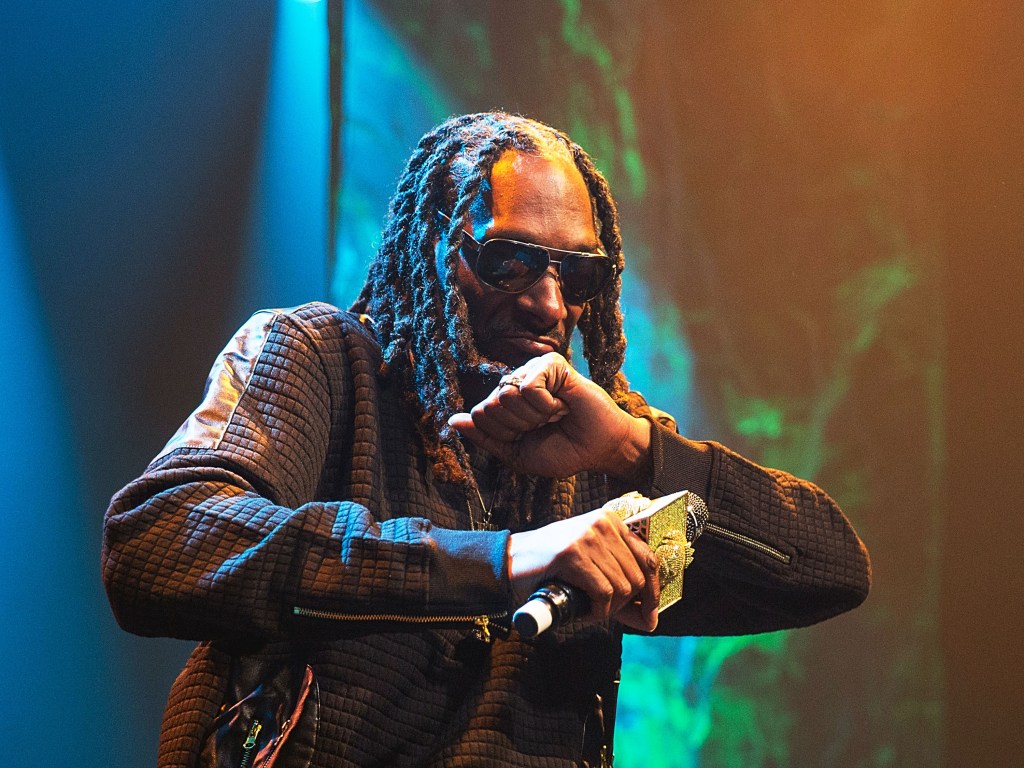 Nascimento do hip-hop - Snoop Dogg