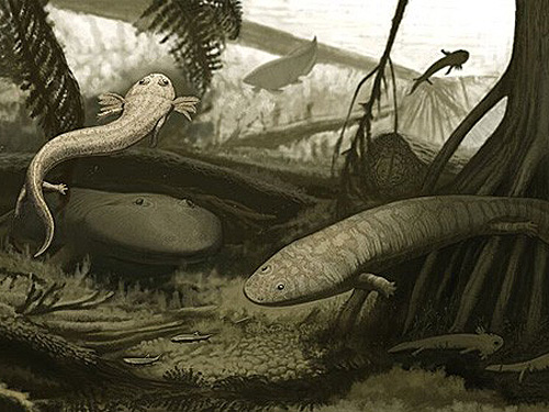 As espécies “Timonya annae” e o “Procuhy nazariensis” eram similares às salamandras modernas.