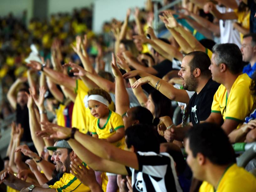 Torcedores durante jogo na Arena do Palmeiras
