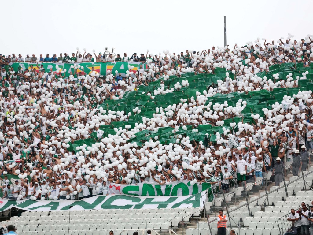 Mancha Alviverde, torcida organizada do Palmeiras