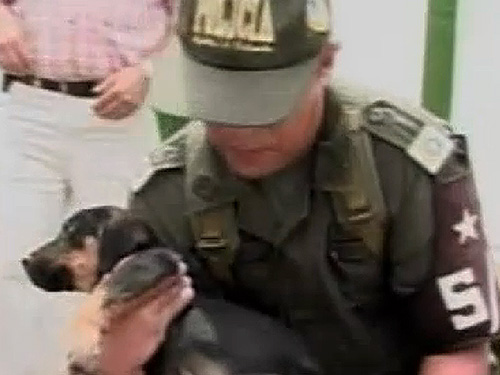 Agentes resgatam cachorros que eram usados para traficar heroína