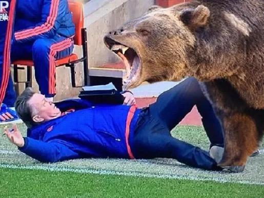 Memes sobre simulação de Van Gaal se espalharam nas redes sociais: até o uso de "O Regresso" apareceu