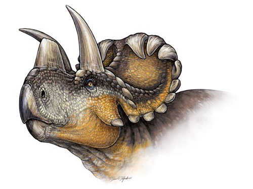 Reconstrução do Wendiceratops pinhornensis, um dos mais impressionantes dinossauros chifrudos já descobertos