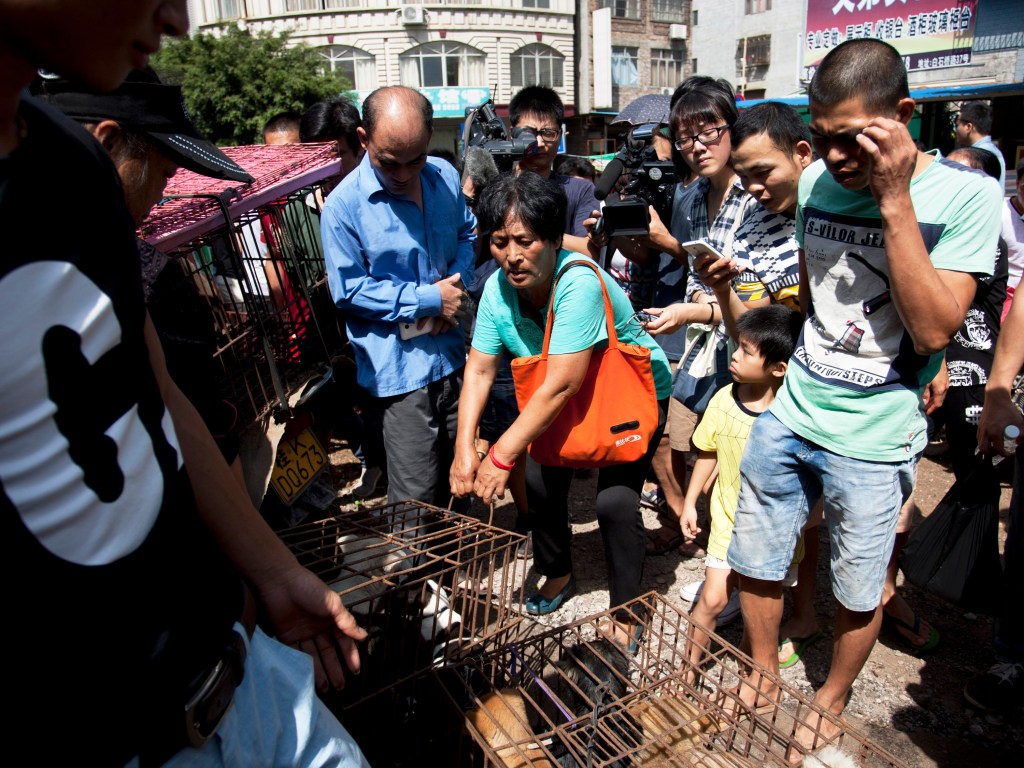 A ativista Yang Xiaoyun, salvou cachorros em mercado de Yulin, onde ocorria festival de venda da carne dos animais