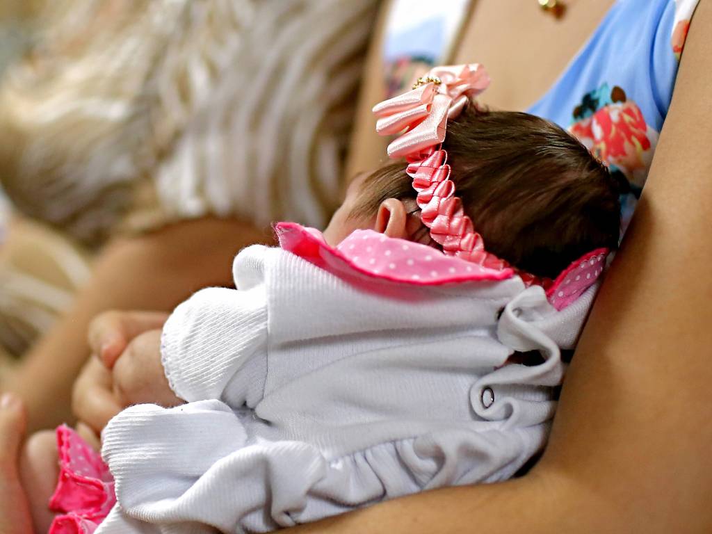 Conheça os mecanismos moleculares associados à microcefalia por zika