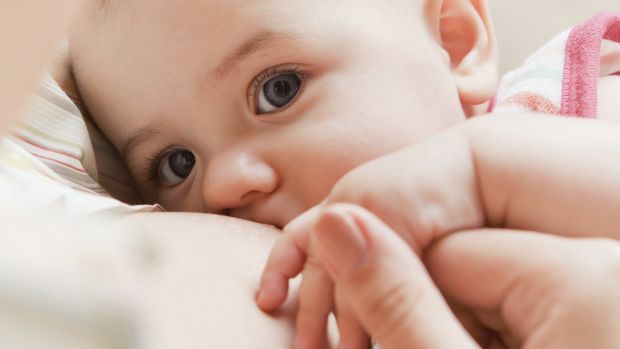 “Os bebês estão acompanhando o que acontece ao seu redor e tirando conclusões sobre relações sociais sobre as quais nós não sabíamos antes deste estudo”, afirma pesquisadora