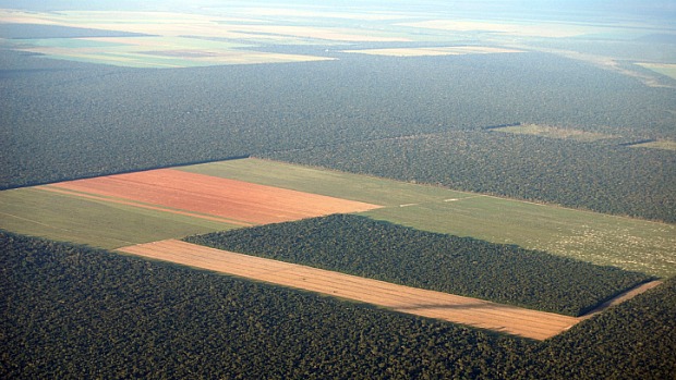 O desmatamento na região amazônica e a falta de chuvas poderá transformar, permanentemente, parte da floresta em savana