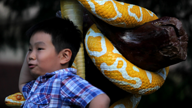 Garoto posa para foto perto de uma estátua de cobra na véspera das celebrações do Ano Novo chinês, o ano da serpente, no templo Thean Hou, em Kuala Lumpur, na Malásia