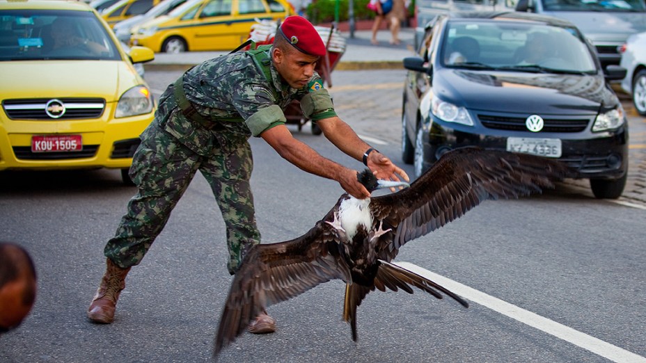 Soldado do Exército salva um pássaro que fez um pouso forçado em Copacabana, na Avenida Atlântica, após se enroscar em linha de pipa