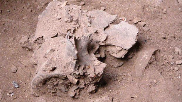 Arqueologia