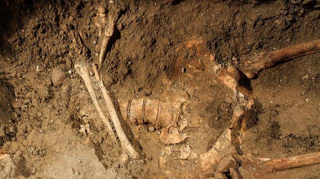 Arqueólogos acreditam ter achado esqueleto da Mona Lisa. Arqueólogos afirmaram ter encontrado sob o piso de um convento em Florença, na Itália, os ossos de Lisa Gheradini, que teria posado para o quadro "Mona Lisa", de Leonardo Da Vinci