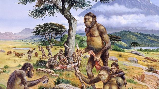 Nas famílias dos Australopithecus africanus, que viveram entre 3,3 e 2,4 milhões de anos atrás, as mulheres caçavam, enquanto os homens ficavam cuidando do fogo
