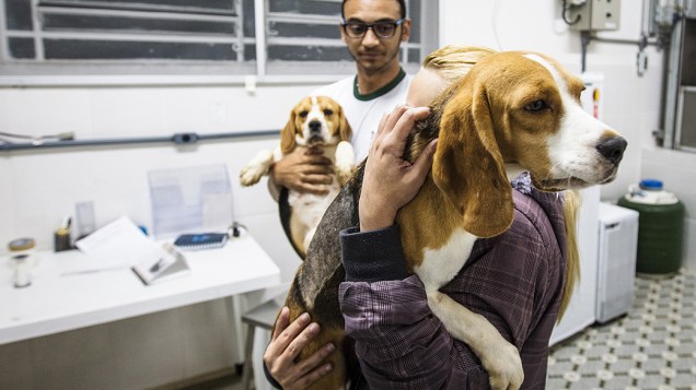 Grupo de ativistas invadiu o Instituto Royal, em São Roque, São Paulo na madrugada desta sexta-feira em protesto ao uso dos animais para realização de testes em laboratório