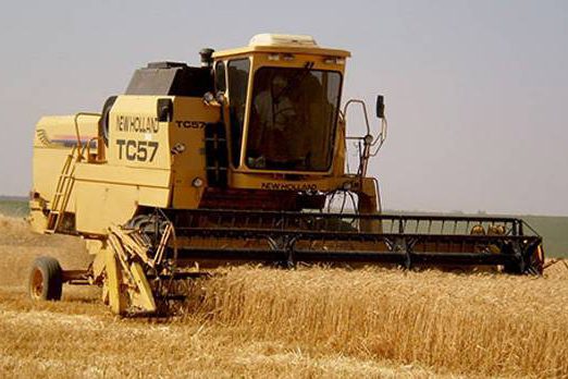 Colheita de trigo no PAD-DF: mecanização ajuda no aumento dos lucros